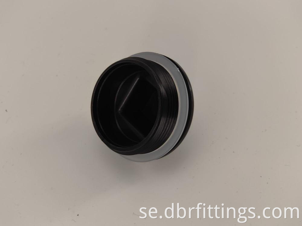 cUPC ABS FITTING CLEANOUT PLUG